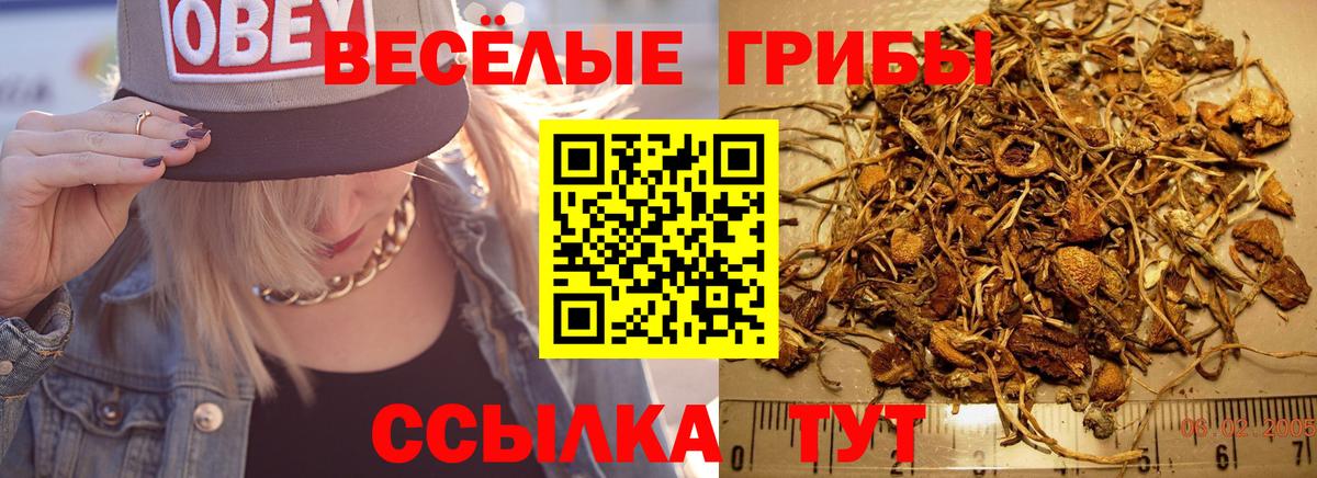 Псилоцибиновые грибы прущие грибы Мариинск