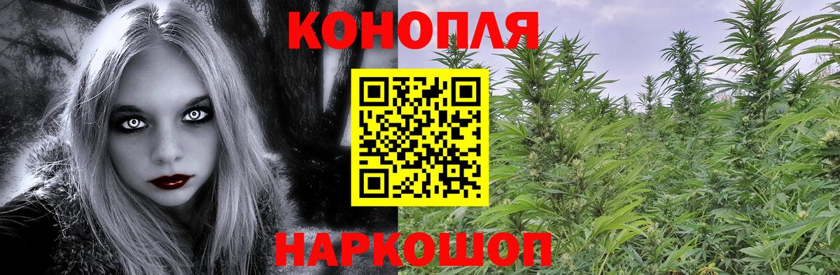 Каннабис OG Kush Мариинск